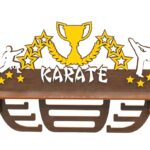 Medal Shelf Karate 1